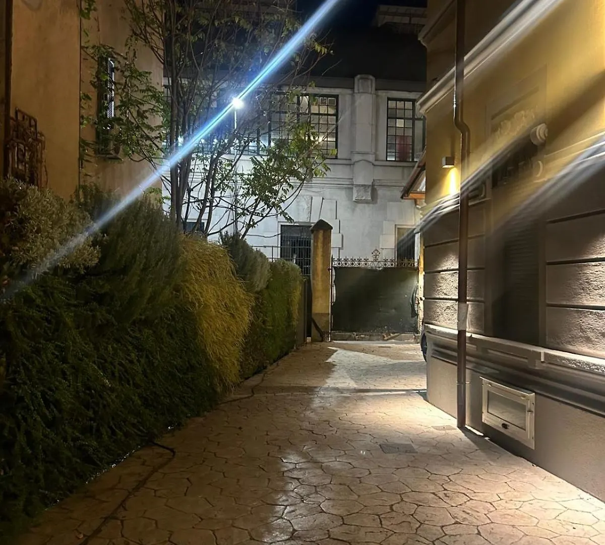 Agave In Centrale Milano Italia