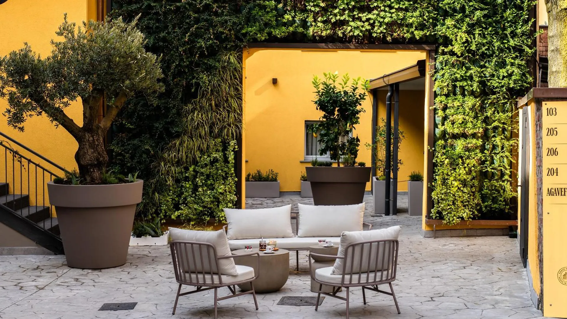 Agave In Centrale Milano
